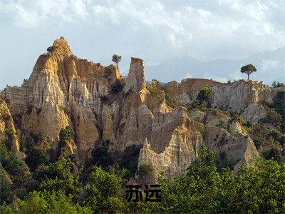 苏远(港岛贵公子小说)最新在线阅读_港岛贵公子小说免费阅读