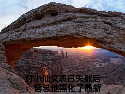 傅屿承林知愿小说（对小仙女表白失败后，傅总他黑化了）全文在线阅读无弹窗大结局傅屿承林知愿