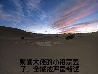财阀大佬的小祖宗丢了，全城戒严（陈星稚薄闻霄）全文免费阅读无弹窗大结局_财阀大佬的小祖宗丢了，全城戒严最新章节列表_笔趣阁