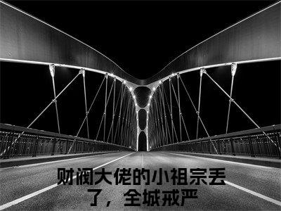 陈星稚薄闻霄是哪部小说的主角，财阀大佬的小祖宗丢了，全城戒严免费阅读全文大结局