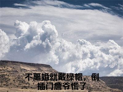 詹南风盛知意小说全文免费阅读无弹窗大结局_不离婚就戴绿帽，倒插门詹爷慌了最新章节列表_笔趣阁