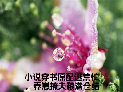 阮池欢顾九宸（穿书原配逃荒忙，养崽撩夫粮满仓）热门小说盘点在线阅读-全网推荐小说穿书原配逃荒忙，养崽撩夫粮满仓全文