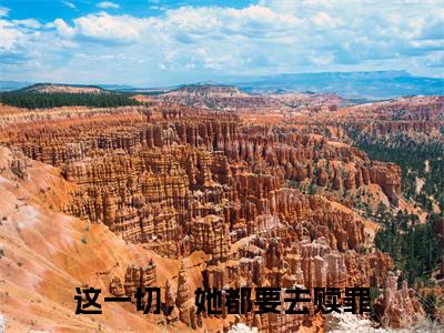沈思苒傅庭渊免费小说_这一切，她都要去赎罪免费最新章节列表_笔趣阁