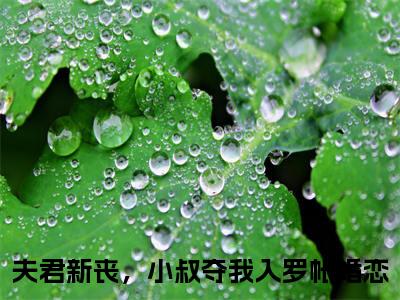 夫君新丧，小叔夺我入罗帐（江琯清叶寒峥）小说全文无删减-夫君新丧，小叔夺我入罗帐小说免费阅读大结局