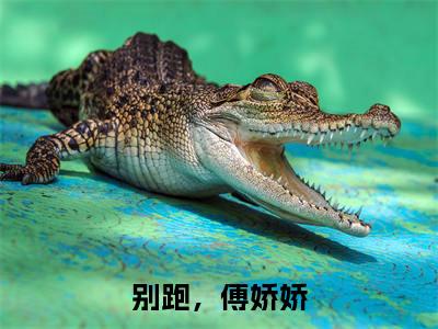 别跑，傅娇娇（傅璟深傅念一）小说免费阅读无弹窗完整版_（傅璟深傅念一）别跑，傅娇娇最新章节列表笔趣阁