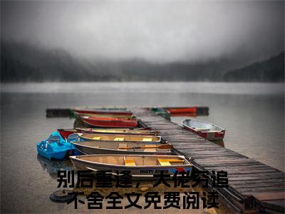 别后重逢，大佬穷追不舍（陆景琛秦如烟）全文免费阅读无弹窗大结局_（别后重逢，大佬穷追不舍）陆景琛秦如烟最新章节列表_笔趣阁