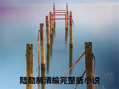 陆勋林清榆免费阅读（和腹黑三叔闪婚后真香了）完整版全文全章节阅读
