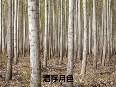 岑珩之乔惜（温存月色）全文免费阅读无弹窗_岑珩之乔惜小说免费阅读_笔趣阁