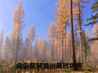 桑宓絮裴凛州（桑宓絮裴凛州小说)全文免费阅读无弹窗大结局_桑宓絮裴凛州全文免费阅读_笔趣阁