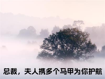 白苓傅琛全文（总裁，夫人携多个马甲为你护航）全文免费阅读无弹窗大结局_总裁，夫人携多个马甲为你护航最新章节列表_笔趣阁（白苓傅琛）