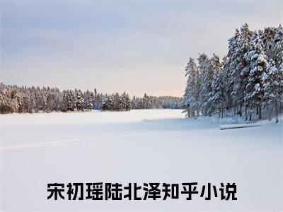 已到这一步，前尘尽勾销（宋初瑶陆北泽）全文免费阅读无弹窗_（已到这一步，前尘尽勾销全文免费阅读无弹窗）已到这一步，前尘尽勾销最新章节列表