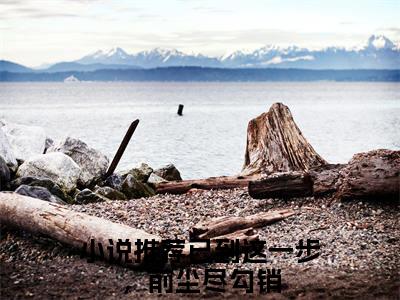 （已到这一步，前尘尽勾销番外+免费）宋初瑶陆北泽小说主角叫什么-已到这一步，前尘尽勾销全文免费阅读大结局