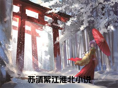 苏清絮江淮北完本小说全集阅读-（苏清絮江淮北）主角的小说是什么名字