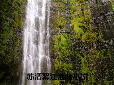 苏清絮江淮北（苏清絮江淮北）全文免费阅读无弹窗大结局_苏清絮江淮北小说（苏清絮江淮北）最新章节列表笔趣阁（苏清絮江淮北）
