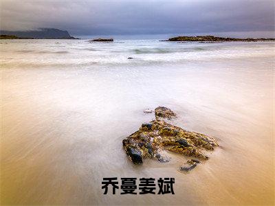 乔蔓姜斌（乔蔓姜斌）最新章节免费阅读全文-完结小说乔蔓姜斌在线阅读