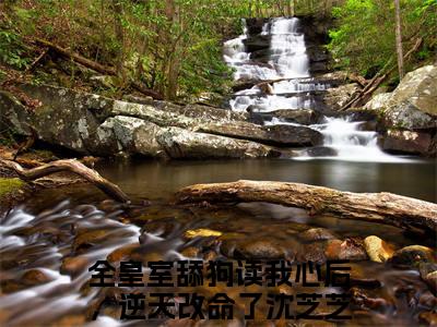 全皇室舔狗读我心后，逆天改命了沈芝芝（全皇室舔狗读我心后，逆天改命了沈芝芝最新全章节大结局）全文阅读