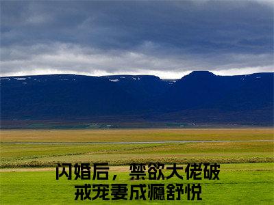 闪婚后，禁欲大佬破戒宠妻成瘾舒悦（闪婚后，禁欲大佬破戒宠妻成瘾舒悦）小说免费阅读完结版-闪婚后，禁欲大佬破戒宠妻成瘾舒悦小说全文免费阅读
