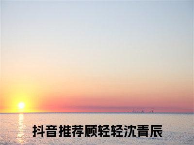 （顾轻轻沈青辰）抖音顾轻轻沈青辰小说阅读完结版-小说顾轻轻沈青辰全文免费阅读