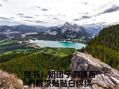 穿书：奶团子的哥哥们跪求贴贴白绵绵最新热门小说-（穿书：奶团子的哥哥们跪求贴贴白绵绵）最新章节免费阅读