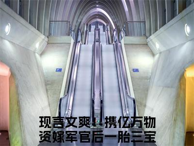 完结版爽！携亿万物资嫁军官后一胎三宝孟砚青小说在线阅读大结局-爽！携亿万物资嫁军官后一胎三宝孟砚青全文阅读已更新爽！携亿万物资嫁军官后一胎三宝孟砚青