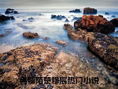 冉卿陌楚穆宸（冉卿陌楚穆宸）全文免费阅读无弹窗大结局_冉卿陌楚穆宸在线阅读笔趣阁