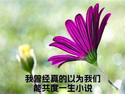 我曾经真的以为我们能共度一生抖音沈钰兰霍谨言小说阅读完结版-小说沈钰兰霍谨言全文免费阅读