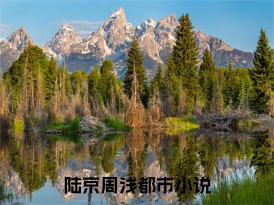 陆京周浅小说（陆京周浅）全文免费阅读无弹窗_陆京周浅全文免费阅读无弹窗最新章节列表笔趣阁（陆京周浅）