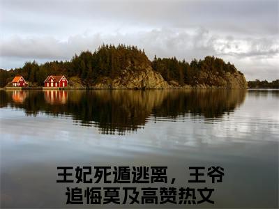 龙非绝元今歌免费阅读无弹窗大结局-王妃死遁逃离，王爷追悔莫及（龙非绝元今歌最新全章节大结局）全文阅读