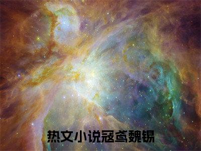 寇鸢魏锡（寇鸢魏锡）小说结局-寇鸢魏锡全文无弹窗阅读