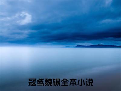 寇鸢魏锡（寇鸢魏锡）小说免费阅读完结版-寇鸢魏锡小说全文免费阅读