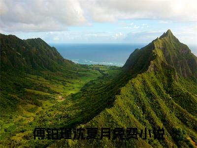 傅铂瑾沈夏月全文免费阅读无弹窗大结局-傅铂瑾沈夏月无弹窗阅读