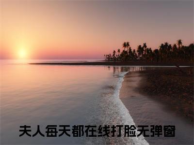 陆承洲陆尚锦（夫人每天都在线打脸）笔趣阁免费小说全文完整版-夫人每天都在线打脸无弹窗免费阅读