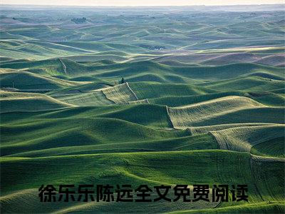 徐乐乐陈远在线阅读全文 (徐乐乐陈远免费大结局)小说无弹窗广告