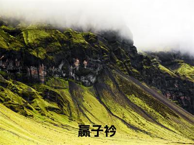 嬴子衿全文免费阅读无弹窗大结局_(神算者归来阅读全文大结局)嬴子衿最新章节列表（神算者归来）