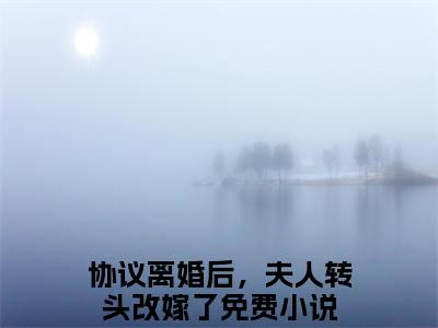 协议离婚后，夫人转头改嫁了免费小说-沈曼薄司言小说完整版阅读