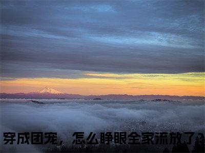 幺宝苏秀小说最新章节（穿成团宠，怎么睁眼全家流放了？）全文免费阅读无弹窗大结局_穿成团宠，怎么睁眼全家流放了？免费阅读（幺宝苏秀小说）