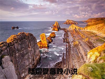陆熠夏慕晚什么小说 陆熠夏慕晚全文免费阅读在线阅读