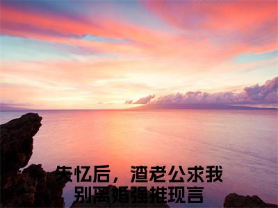 乐颜陆寒山失忆后，渣老公求我别离婚完整版最新小说大结局，乐颜陆寒山免费完结版