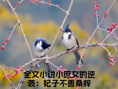 小庶女的逆袭：妃子不善桑梓（小庶女的逆袭：妃子不善桑梓）全文免费阅读无弹窗大结局_小庶女的逆袭：妃子不善桑梓最新章节列表_笔趣阁（小庶女的逆袭：妃子不善桑梓）