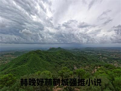 赫晚妤林鹤城在线阅读（赫晚妤林鹤城）全文免费阅读无弹窗大结局_赫晚妤林鹤城免费最新章节列表_笔趣阁
