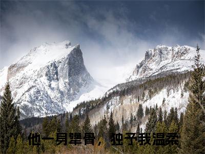 他一身犟骨，独予我温柔全文（沈如周骋）全文免费阅读无弹窗大结局_他一身犟骨，独予我温柔免费最新章节列表_笔趣阁（沈如周骋）