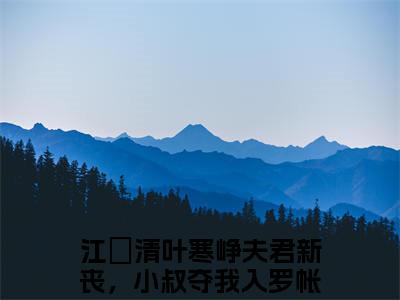 夫君新丧，小叔夺我入罗帐小说全文免费阅读-江琯清叶寒峥最新章节列表免费阅读