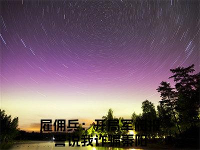 雇佣兵：开局军阀报警说我诈骗秦阳小说全文(雇佣兵：开局军阀报警说我诈骗秦阳)全文免费阅读无弹窗大结局_ 雇佣兵：开局军阀报警说我诈骗秦阳全文免费阅读最新章节列表