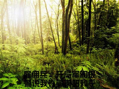 全网热搜（雇佣兵：开局军阀报警说我诈骗秦阳）是什么小说，雇佣兵：开局军阀报警说我诈骗秦阳免费阅读无弹窗