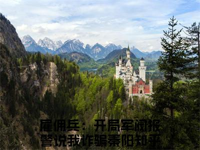《热门小说雇佣兵：开局军阀报警说我诈骗秦阳》最新章节by雇佣兵：开局军阀报警说我诈骗秦阳完整版在线阅读