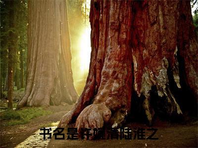 许婉清陆淮之全文免费阅读无弹窗大结局_(许婉清陆淮之免费阅读)许婉清陆淮之无弹窗最新章节列表_笔趣阁