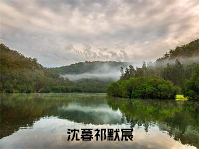 沈暮祁默宸（沈暮祁默宸）全文免费阅读无弹窗_沈暮祁默宸全文免费阅读最新章节大结局_