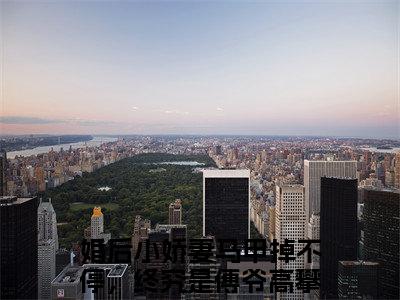 婚后小娇妻马甲掉不停，终究是傅爷高攀了小说在线阅读傅寒晏沈九音无广告小说免费在线阅读
