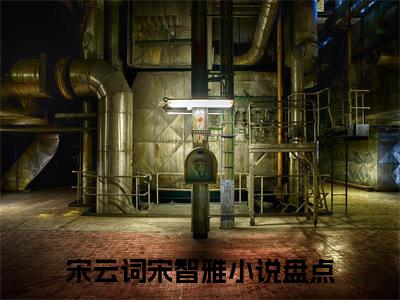宋云词宋智雅完整章节阅读-宋云词宋智雅全文试读