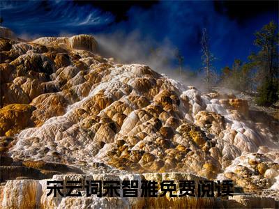 宋云词宋智雅长篇小说免费阅读-小说最新试读